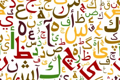 День арабского языка в ООН