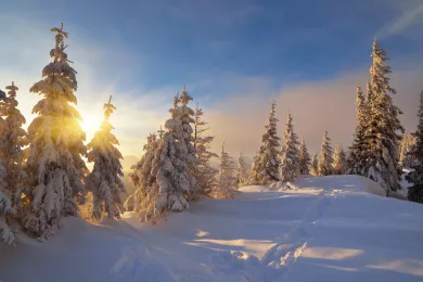 Власьев День