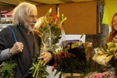 Мистер Штайн идёт в онлайн