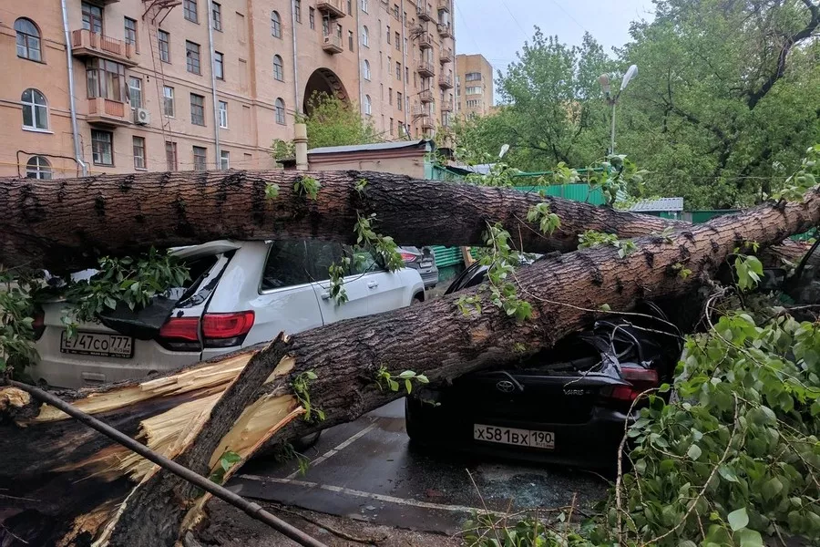 Ураган в москве вчера. Ураган в Москве 1998. Ураган в Москве (2017). Ураган в Москве 2001. Москва август 2017 ураган.