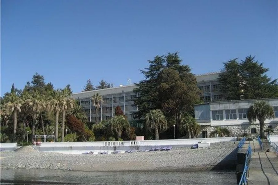 Сочи Фрунзе Фото