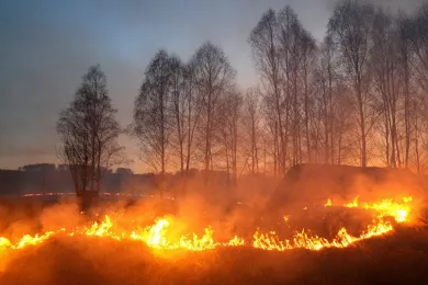 Пожары в Волгоградской области тушат более шести тысяч человек