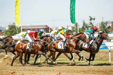 В скачках на приз президента РФ победу одержал спортсмен из Краснодарского края