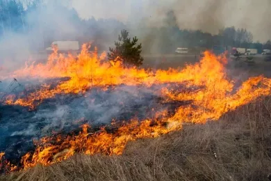 В Ростове сохранится высокая пожароопасность