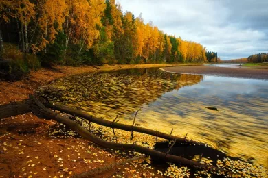 Основан Дарвинский природный заповедник