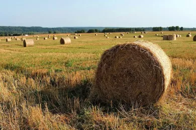 Государственная Дума вводит понятие органической продукции