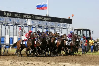 В Краснодарском крае пройдут скачки на Кубок губернатора