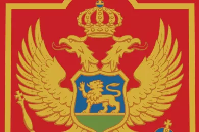Герб вооружённых сил Черногории