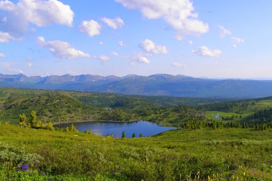 Фото заповедника азас