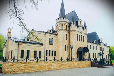 Усадьба Борки - Борковский замок