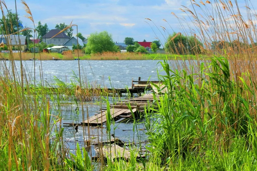 Липецкое водохранилище отдых. Матырское водохранилище Липецк. Матырское водохранилище (Липецкое море). Матырское водохранилище Липецк пляж. Верховья Матырского водохранилища.