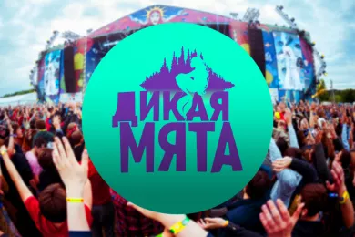 Музыкальный фестиваль «Дикая мята»