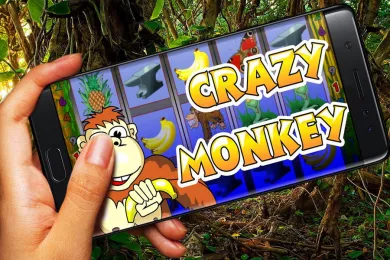 Crazy Monkey