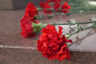 Второй день памяти и примирения о погибших во Второй мировой войне