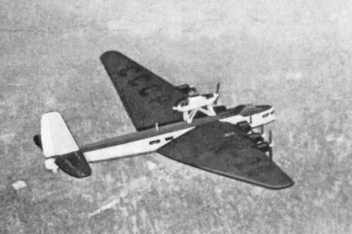 АНТ-20 в полёте