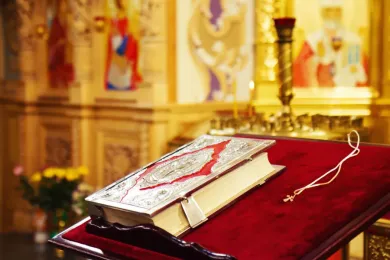 Праздник иконы Божией Матери «Одигитрия» Ярославская