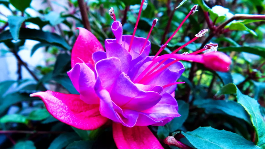 Всемирный день красоты – 9 сентября: история праздника и способы отметить его