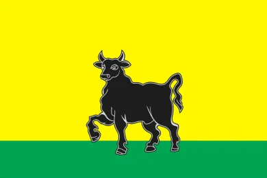 Флаг