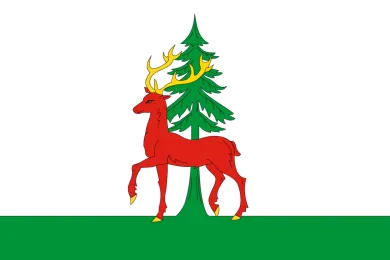 Флаг