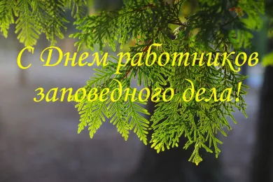 Хронология Новогодней Ночи На Первом 2005 2006