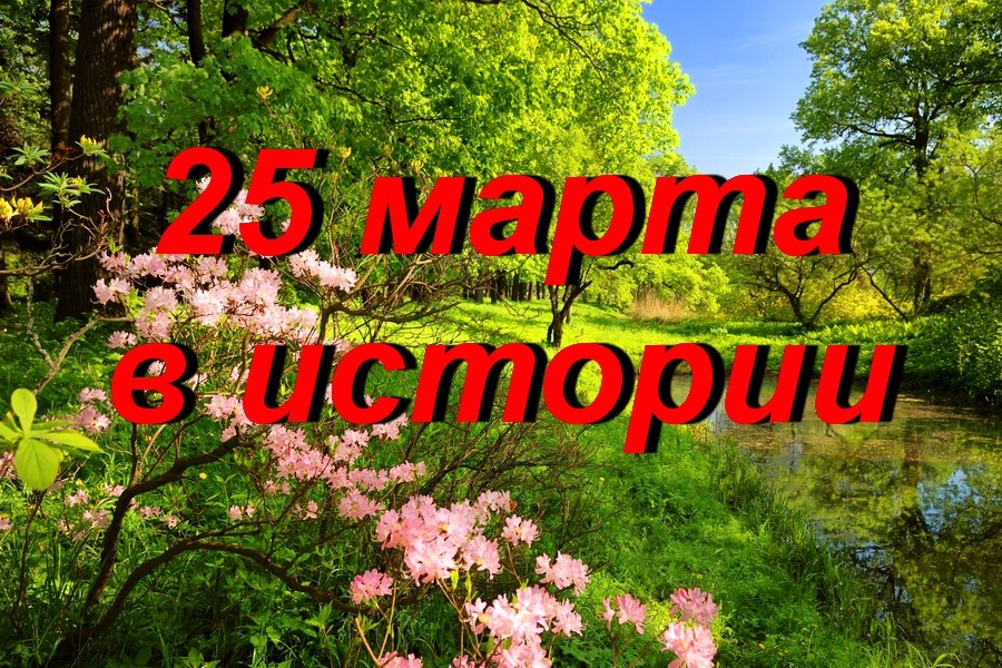 что случилось в санкт петербурге 25 марта